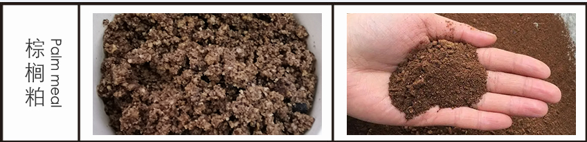 3-240G20QI4L8 OGÊÓѶ¡¤(ÖйúÇø)¹Ù·½ÍøÕ¾